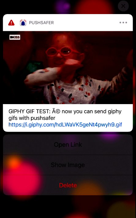 giphy-test.jpg